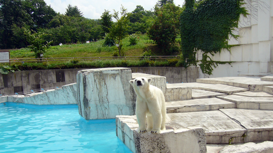 2006年7月14日 円山動物園