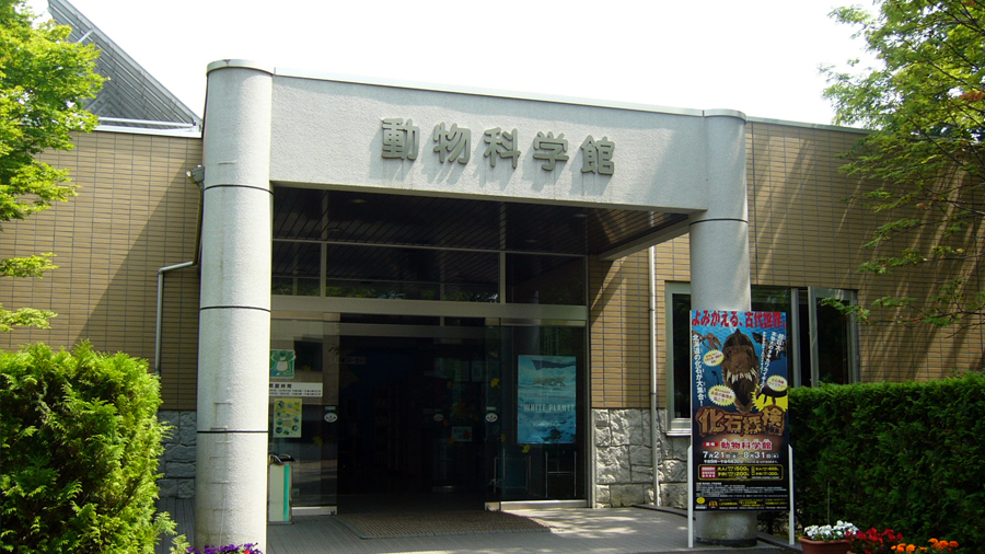 2006年7月14日 円山動物園の動物科学館
