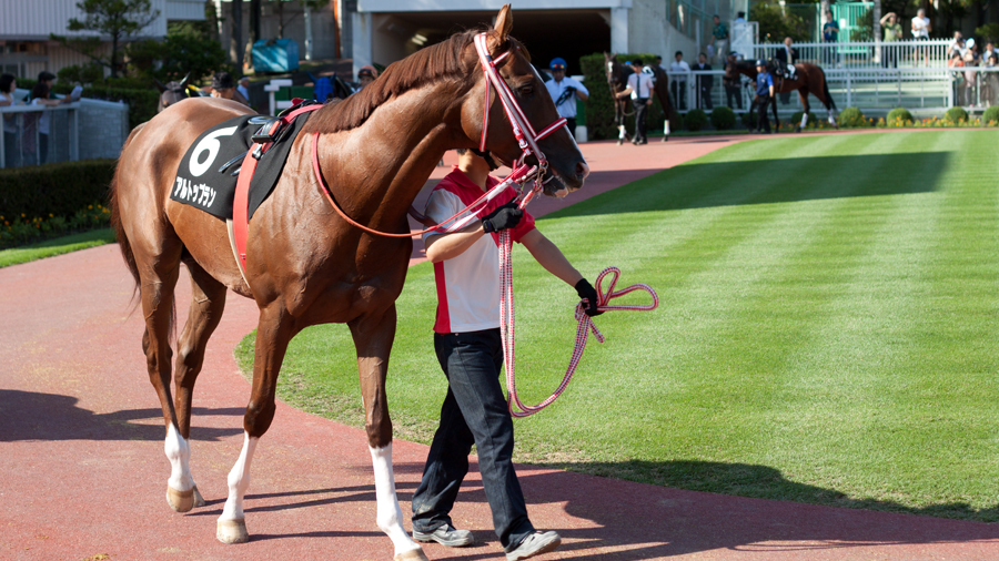 2011年札幌競馬場